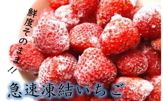 大分県産急速凍結いちご